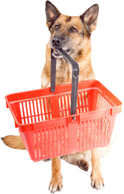 fidelizar clientes de pet shop