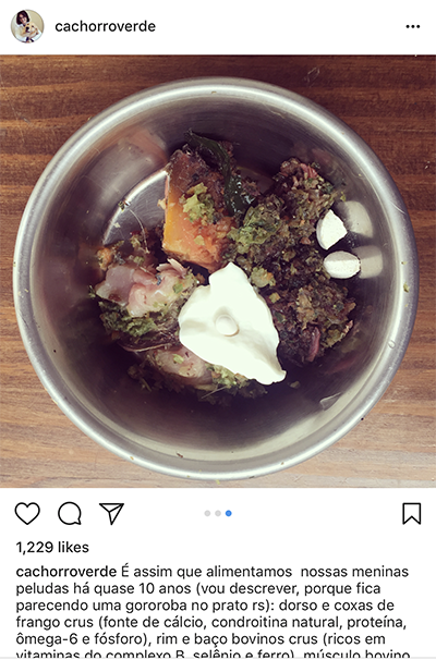 comida natural para pets