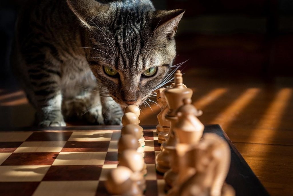 Você acompanha o ticket médio por animal na sua pet shop?